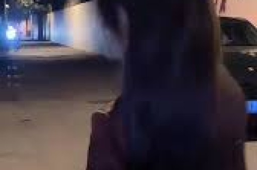 校园游戏下载 高人气校园游戏排行榜前十